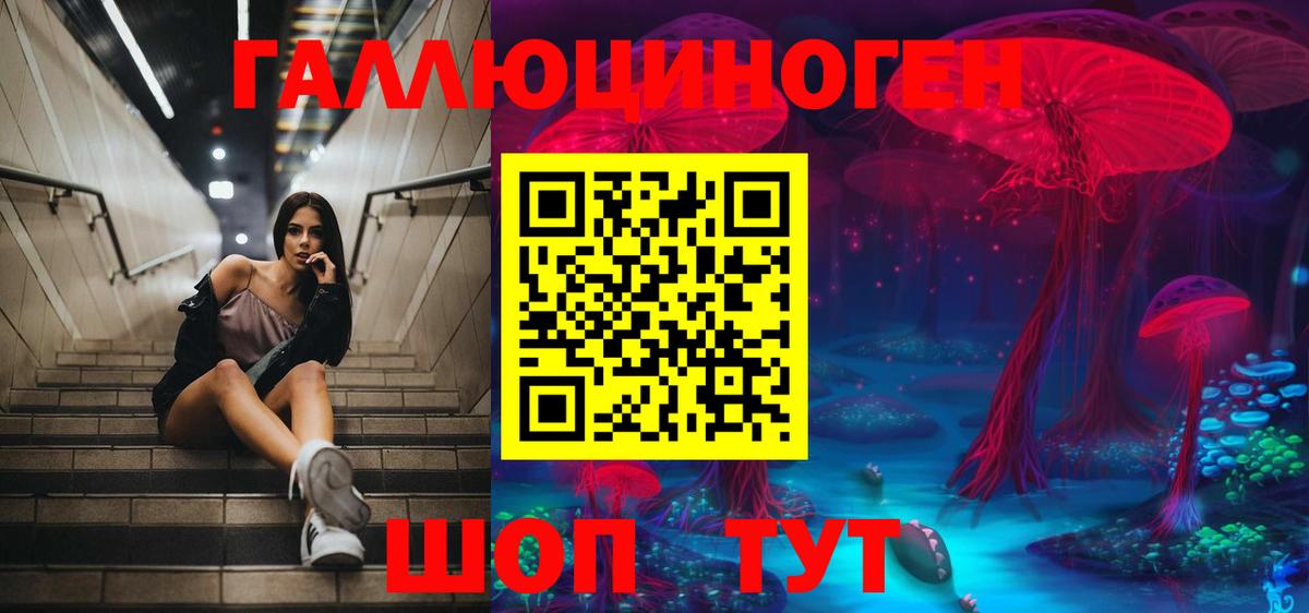 Псилоцибиновые грибы мицелий Донецк
